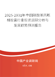 2025-2031年中國磷酸苯丙哌林膠囊行業(yè)現(xiàn)狀調(diào)研分析與發(fā)展趨勢預(yù)測報告