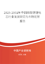 2025-2031年中國磷酸鐵鋰電芯行業(yè)發(fā)展研究與市場前景報告