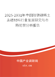 2025-2031年中國釹鐵硼稀土永磁材料行業(yè)發(fā)展研究與市場前景分析報(bào)告