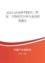 2025-2031年中國PA（尼龍）市場研究分析與發(fā)展趨勢報告