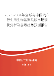2025-2031年全球與中國汽車行業(yè)用生物基聚酰胺市場現(xiàn)狀分析及前景趨勢預(yù)測報告