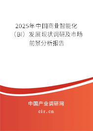 2025年中國商業(yè)智能化（BI）發(fā)展現(xiàn)狀調研及市場前景分析報告