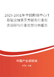 2025-2031年中國數(shù)據(jù)中心IT基礎設施第三方服務行業(yè)現(xiàn)狀調(diào)研與行業(yè)前景分析報告