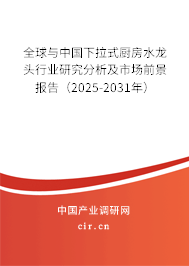 全球與中國下拉式廚房水龍頭行業(yè)研究分析及市場前景報告（2025-2031年）