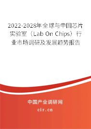 2022-2028年全球與中國芯片實驗室（Lab On Chips）行業(yè)市場調(diào)研及發(fā)展趨勢報告