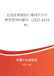 云南皮革服裝行業(yè)研究與市場(chǎng)前景預(yù)測(cè)報(bào)告（2025-2031年）