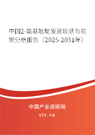中國2-氨基吡啶發(fā)展現(xiàn)狀與前景分析報告（2025-2031年）