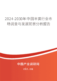 2023-2029年中國豐黃行業(yè)市場調(diào)查與發(fā)展前景分析報告