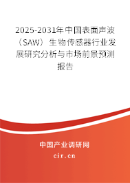 2025-2031年中國表面聲波（SAW）生物傳感器行業(yè)發(fā)展研究分析與市場前景預(yù)測報(bào)告
