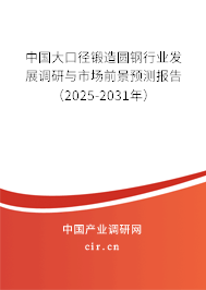 中國(guó)大口徑鍛造圓鋼行業(yè)發(fā)展調(diào)研與市場(chǎng)前景預(yù)測(cè)報(bào)告（2025-2031年）
