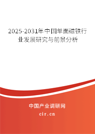 2025-2031年中國單面磁鐵行業(yè)發(fā)展研究與前景分析