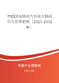 中國風(fēng)電場電氣系統(tǒng)市場研究與前景趨勢（2025-2031年）