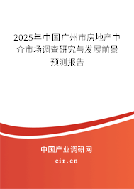2025年中國(guó)廣州市房地產(chǎn)中介市場(chǎng)調(diào)查研究與發(fā)展前景預(yù)測(cè)報(bào)告