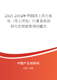 2025-2031年中國海上風(fēng)力發(fā)電（海上風(fēng)電）行業(yè)發(fā)展調(diào)研與前景趨勢預(yù)測報告
