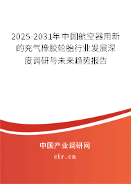 2025-2031年中國航空器用新的充氣橡膠輪胎行業(yè)發(fā)展深度調(diào)研與未來趨勢報告
