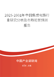 2025-2031年中國(guó)集成電路行業(yè)研究分析及市場(chǎng)前景預(yù)測(cè)報(bào)告