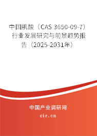 中國肌酸（CAS 3650-09-7）行業(yè)發(fā)展研究與前景趨勢報告（2025-2031年）