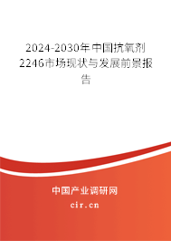 2024-2030年中國抗氧劑2246市場現(xiàn)狀與發(fā)展前景報告