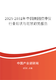 2025-2031年中國(guó)面團(tuán)拉伸儀行業(yè)現(xiàn)狀與前景趨勢(shì)報(bào)告