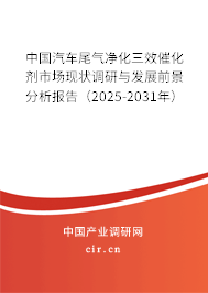 中國汽車尾氣凈化三效催化劑市場現(xiàn)狀調(diào)研與發(fā)展前景分析報(bào)告（2025-2031年）