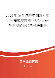 2025年版全球與中國燃料電池分布式電站市場現狀調研與發(fā)展前景趨勢分析報告