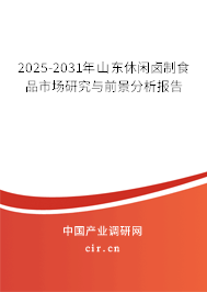 2025-2031年山東休閑鹵制食品市場研究與前景分析報告