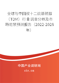 全球與中國叔十二烷基硫醇（TDM）行業(yè)調(diào)查分析及市場前景預(yù)測報告（2022-2028年）