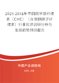 2025-2031年中國(guó)羧甲基纖維素（CMC）（含聚陰離子纖維素）行業(yè)現(xiàn)狀調(diào)研分析與發(fā)展趨勢(shì)預(yù)測(cè)報(bào)告