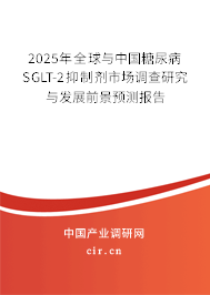 2025年全球與中國糖尿病SGLT-2抑制劑市場調(diào)查研究與發(fā)展前景預(yù)測報告