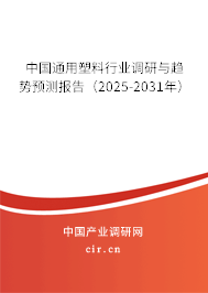 中國通用塑料行業(yè)調(diào)研與趨勢預(yù)測報告（2025-2031年）