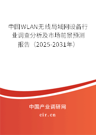 中國WLAN無線局域網(wǎng)設(shè)備行業(yè)調(diào)查分析及市場前景預(yù)測報告（2025-2031年）