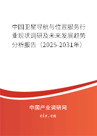 中國(guó)衛(wèi)星導(dǎo)航與位置服務(wù)行業(yè)現(xiàn)狀調(diào)研及未來(lái)發(fā)展趨勢(shì)分析報(bào)告（2025-2031年）