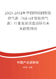 2025-2031年中國(guó)物聯(lián)網(wǎng)智能燃?xì)獗恚∟B-IoT智能燃?xì)獗恚┬袠I(yè)發(fā)展深度調(diào)研與未來趨勢(shì)預(yù)測(cè)