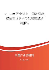 2025年版全球與中國(guó)永磁吸鐵條市場(chǎng)調(diào)研與發(fā)展前景預(yù)測(cè)報(bào)告