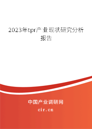 2023年tpr產(chǎn)業(yè)現(xiàn)狀研究分析報告