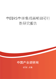 中國RS中繼集線器項(xiàng)目可行性研究報(bào)告