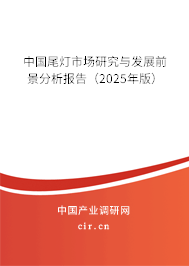 中國(guó)尾燈市場(chǎng)研究與發(fā)展前景分析報(bào)告（2025年版）
