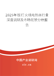 2025年版打火機電熱絲行業(yè)深度調(diào)研及市場前景分析報告