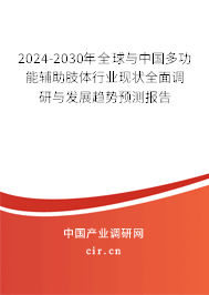 2024-2030年全球與中國(guó)多功能輔助肢體行業(yè)現(xiàn)狀全面調(diào)研與發(fā)展趨勢(shì)預(yù)測(cè)報(bào)告