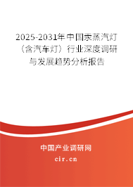 2025-2031年中國汞蒸汽燈（含汽車燈）行業(yè)深度調研與發(fā)展趨勢分析報告