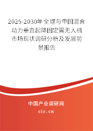 2025-2030年全球與中國混合動力垂直起降固定翼無人機市場現(xiàn)狀調研分析及發(fā)展前景報告
