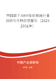 中國基于ARM微處理器行業(yè)調研與市場前景報告（2025-2031年）