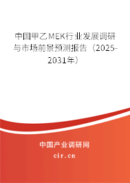 中國甲乙MEK行業(yè)發(fā)展調(diào)研與市場前景預(yù)測報告（2025-2031年）