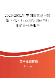 2025-2031年中國聚氨基甲酸酯（PU）行業(yè)現(xiàn)狀調研與行業(yè)前景分析報告