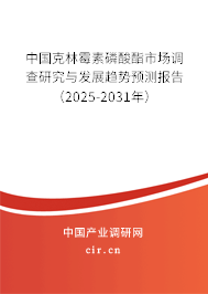 中國克林霉素磷酸酯市場調(diào)查研究與發(fā)展趨勢預測報告（2025-2031年）