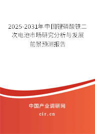 2025-2031年中國鋰磷酸鐵二次電池市場研究分析與發(fā)展前景預(yù)測報告