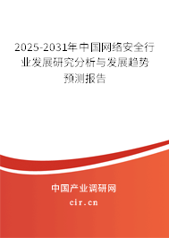 2025-2031年中國(guó)網(wǎng)絡(luò)安全行業(yè)發(fā)展研究分析與發(fā)展趨勢(shì)預(yù)測(cè)報(bào)告