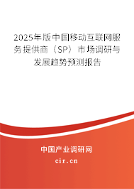 2025年版中國移動互聯(lián)網(wǎng)服務(wù)提供商（SP）市場調(diào)研與發(fā)展趨勢預(yù)測報告