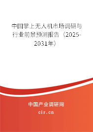 中國掌上無人機(jī)市場調(diào)研與行業(yè)前景預(yù)測(cè)報(bào)告（2025-2031年）