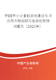中國中小企業(yè)信息化建設與IT應用市場調研與發(fā)展前景預測報告（2025年）